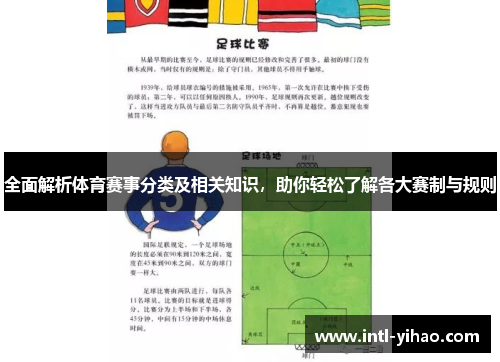 全面解析体育赛事分类及相关知识，助你轻松了解各大赛制与规则