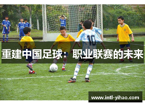 重建中国足球:职业联赛的未来 重建中国足球:职业联赛的未来