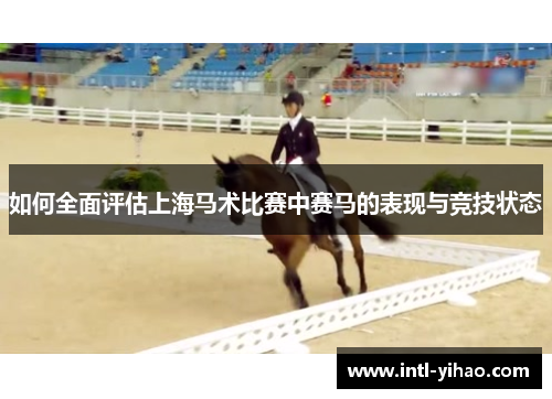 如何全面评估上海马术比赛中赛马的表现与竞技状态
