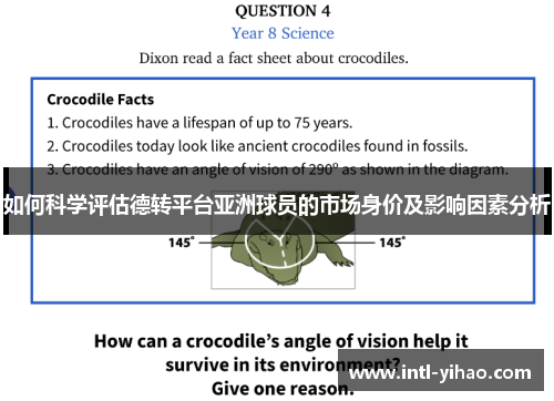 如何科学评估德转平台亚洲球员的市场身价及影响因素分析