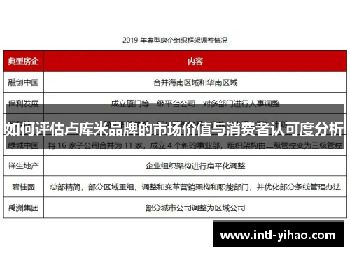 如何评估卢库米品牌的市场价值与消费者认可度分析