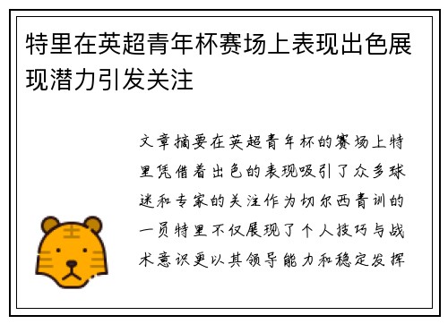 特里在英超青年杯赛场上表现出色展现潜力引发关注